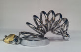 Seven Layers Asylum Cock Cage & Plug